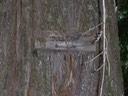 Bolt Camp Sign