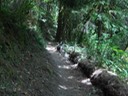 Fixed Single Track