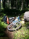 IMG 3298