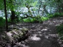 River Shady Spot