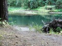 Swimming Hole