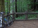 Trail South from Lower Falls